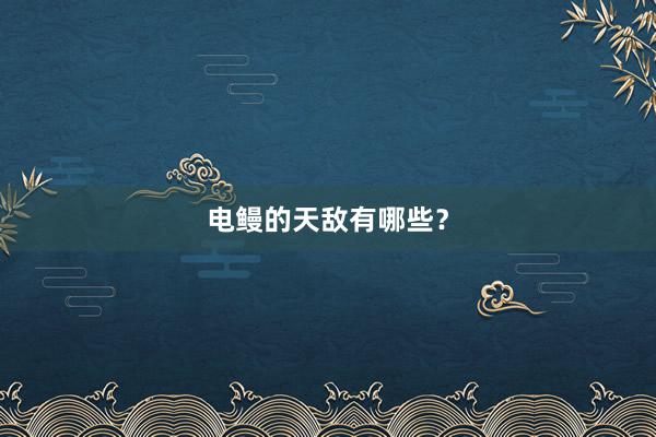 电鳗的天敌有哪些？